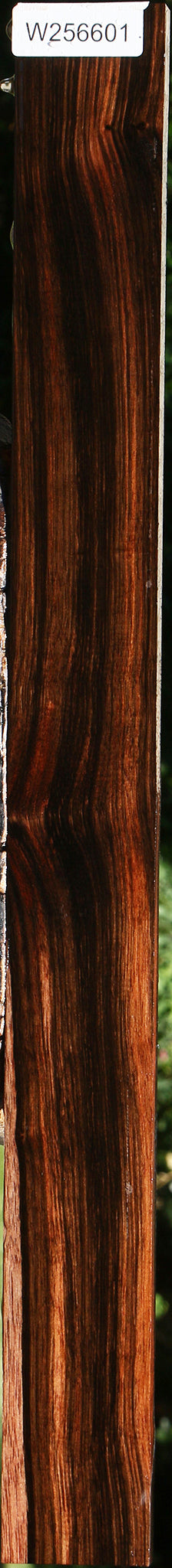 Figured Amara Ebony Lumber