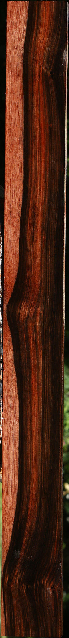 Figured Amara Ebony Lumber