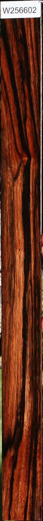 Figured Amara Ebony Lumber