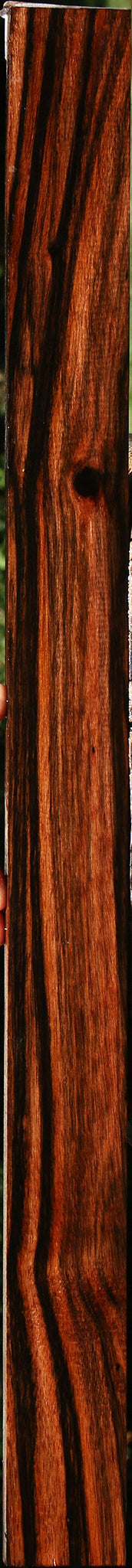 Figured Amara Ebony Lumber