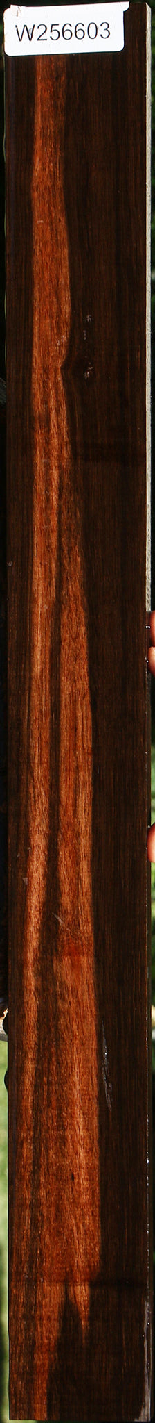 Figured Amara Ebony Lumber