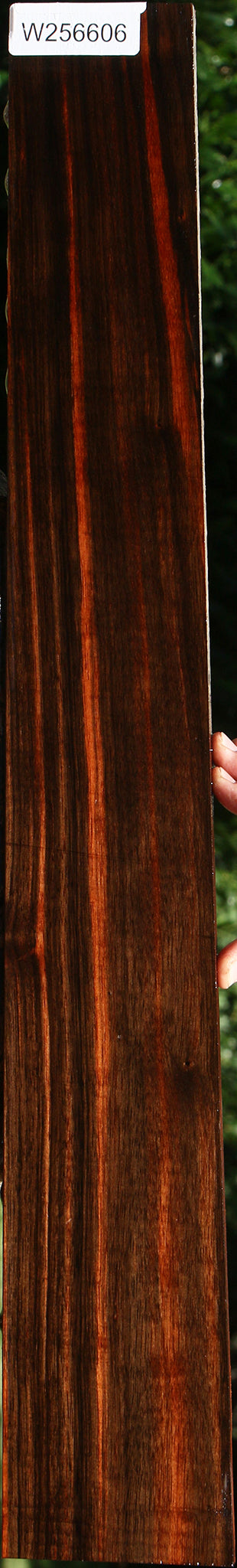 Amara Ebony Lumber