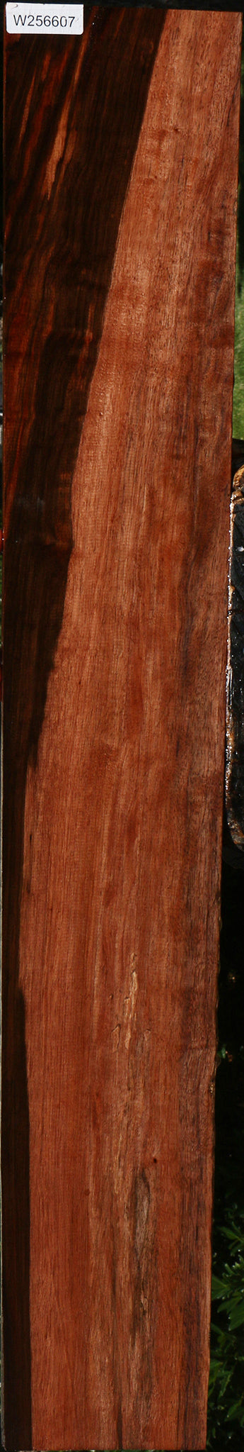 Figured Amara Ebony Lumber