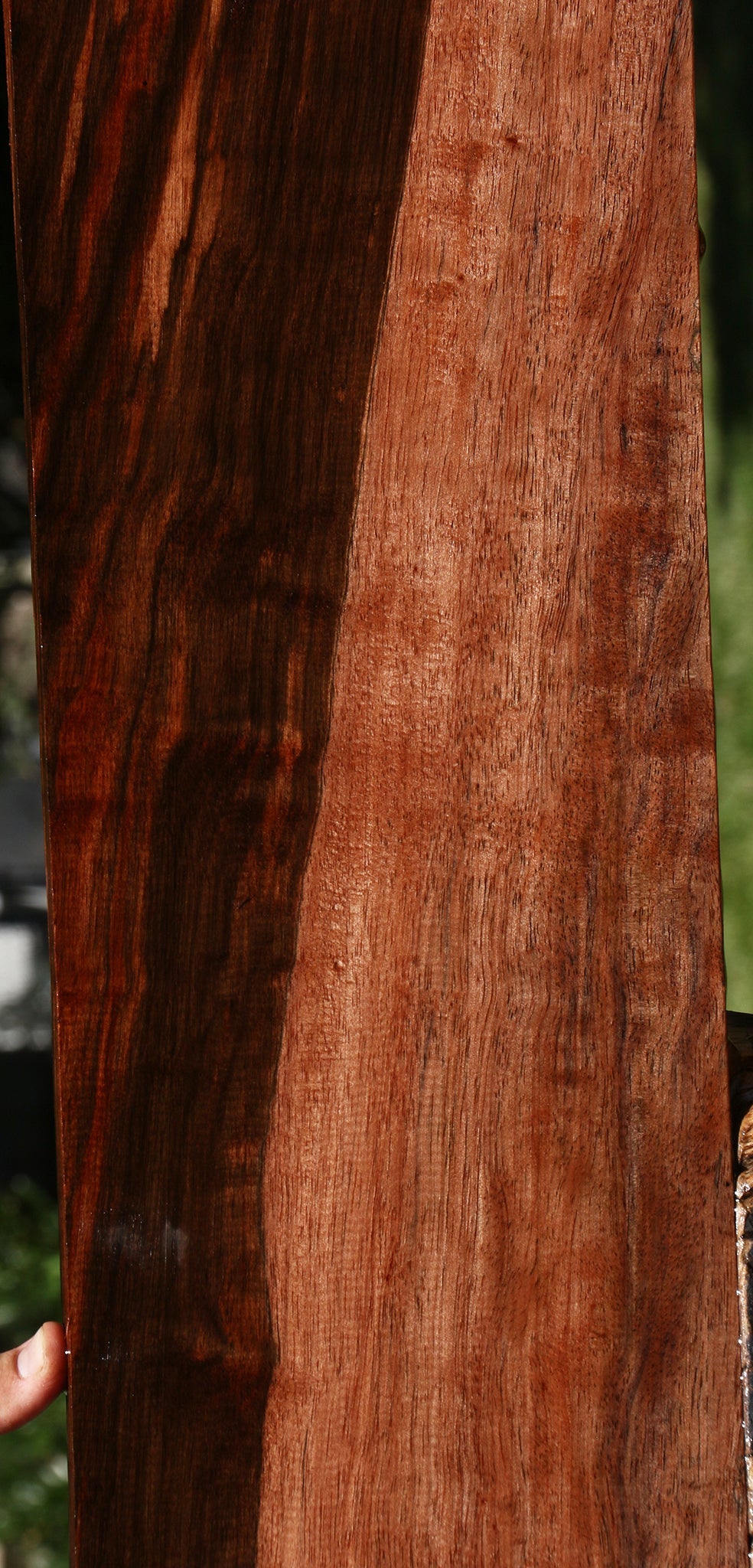 Figured Amara Ebony Lumber