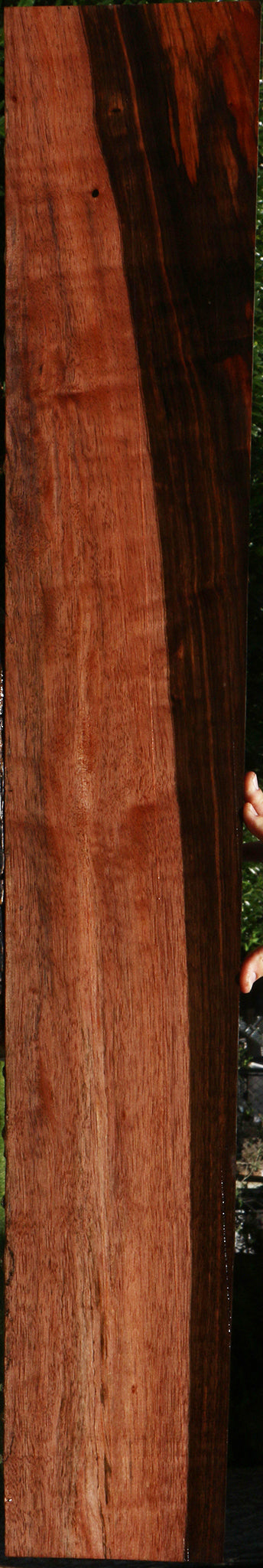 Figured Amara Ebony Lumber