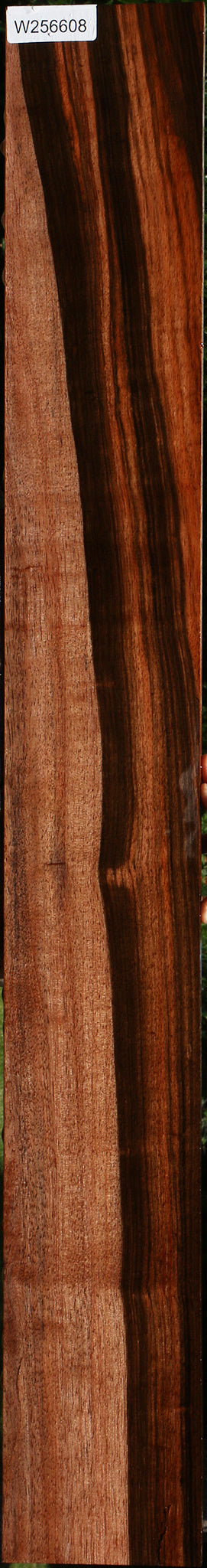 Figured Quartersawn Amara Ebony Lumber