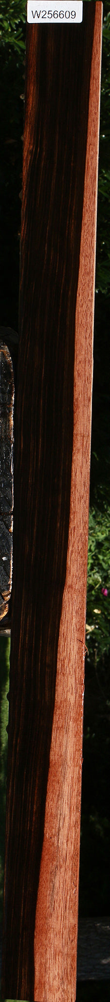 Amara Ebony Lumber