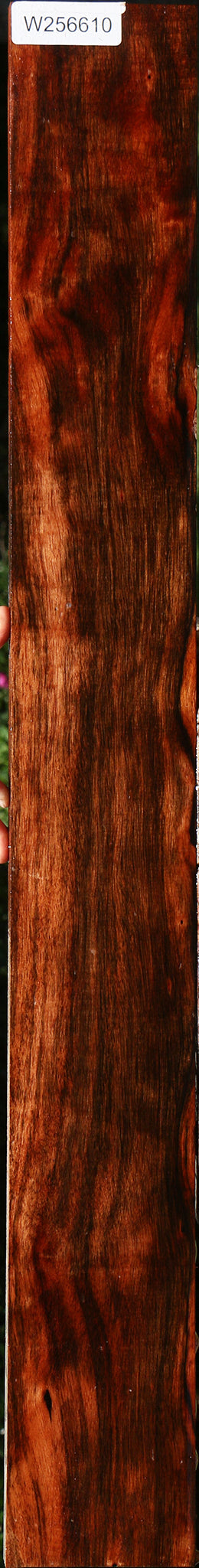 Extra Fancy Amara Ebony Lumber