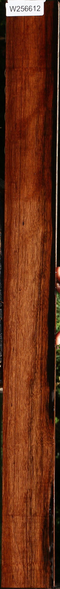 Figured Amara Ebony Lumber