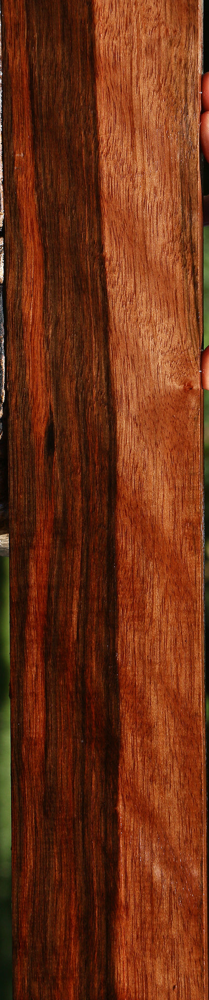 Figured Amara Ebony Lumber