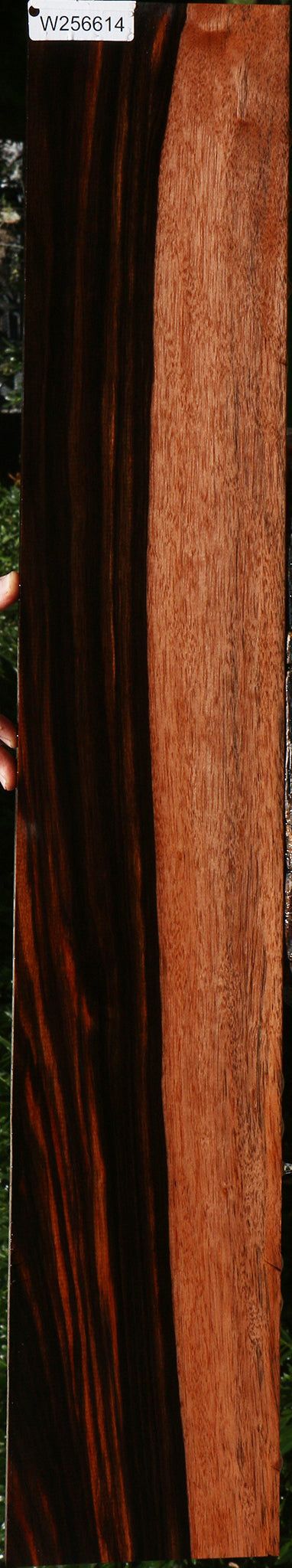 Amara Ebony Lumber