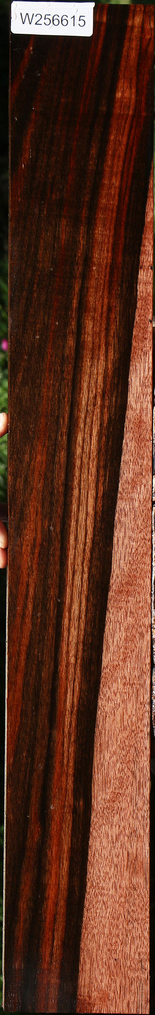 Figured Amara Ebony Lumber