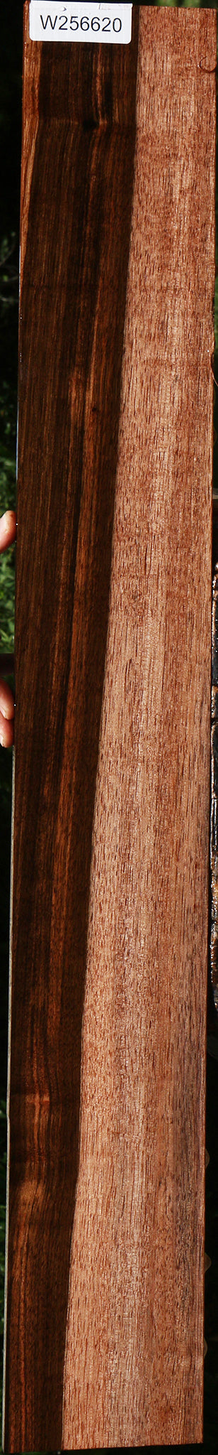 Quartersawn Amara Ebony Lumber