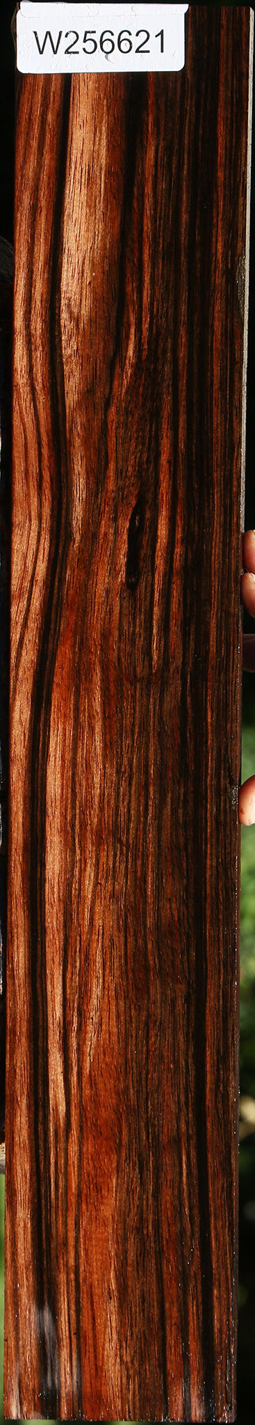 Extra Fancy Amara Ebony Micro Lumber