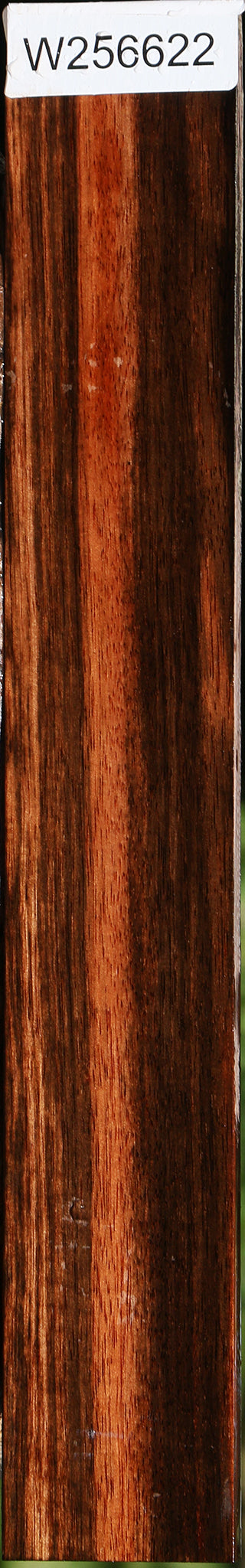 Amara Ebony Lumber