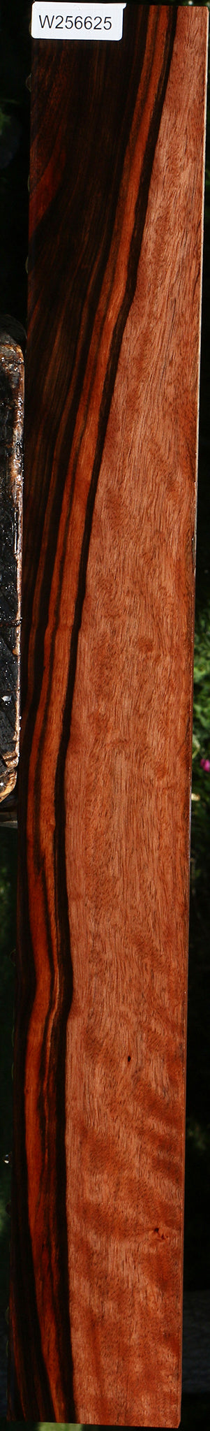 Figured Amara Ebony Lumber