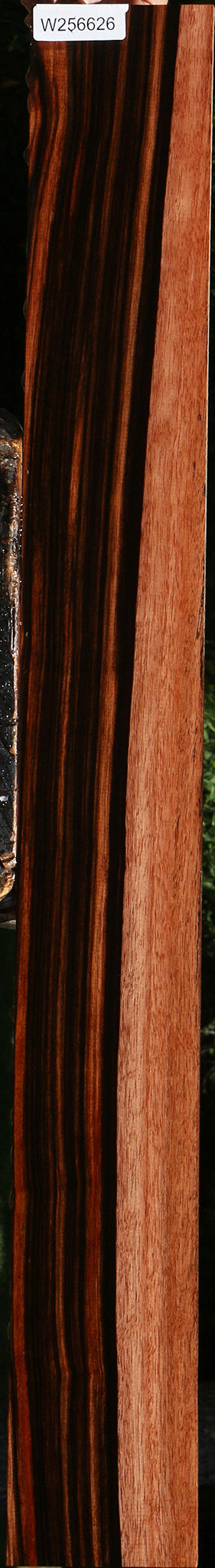 Figured Quartersawn Amara Ebony Micro Lumber