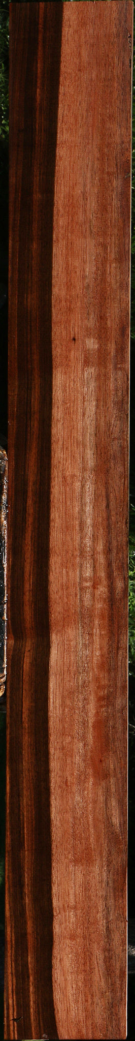 Amara Ebony Lumber