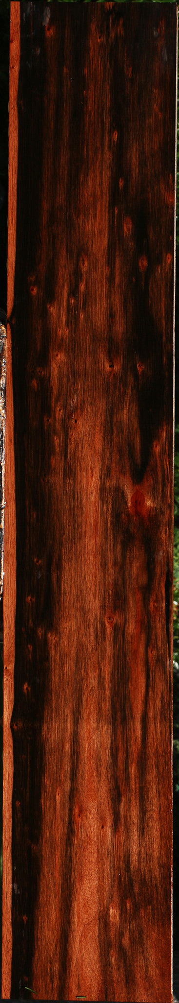 Figured Amara Ebony Lumber
