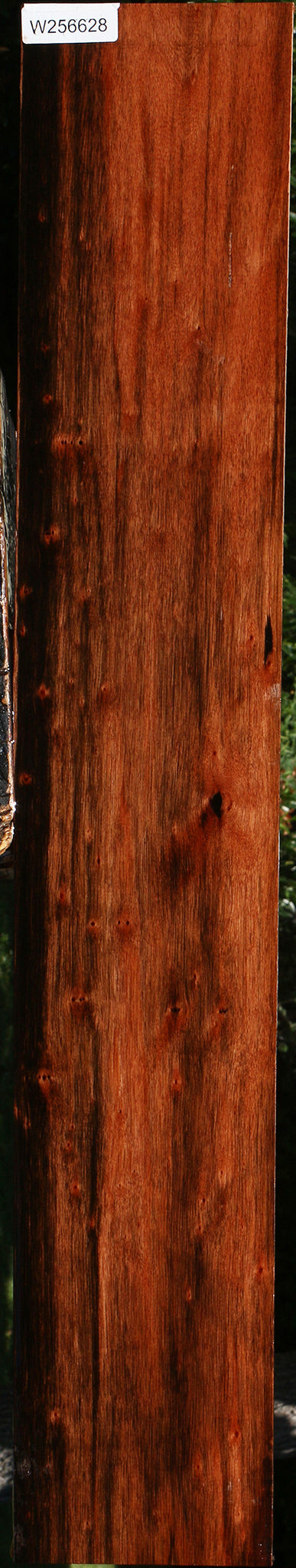 Figured Amara Ebony Lumber