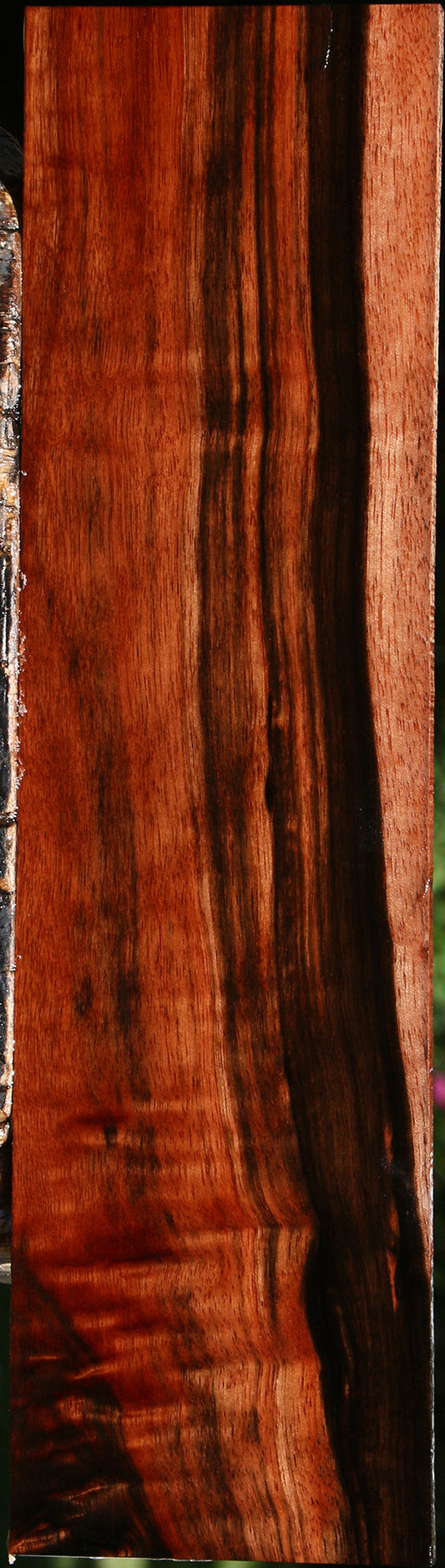 Figured Amara Ebony Lumber