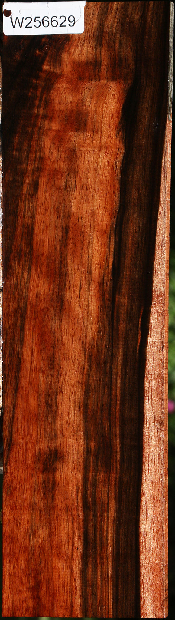 Figured Amara Ebony Lumber