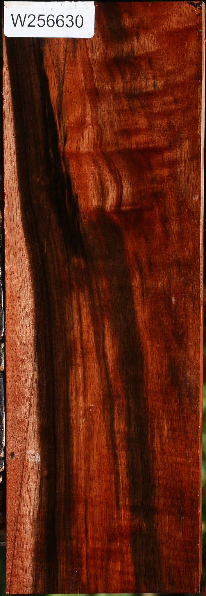 Extra Fancy Amara Ebony Lumber