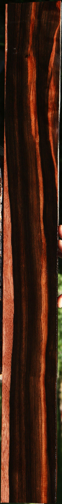 Figured Amara Ebony Lumber