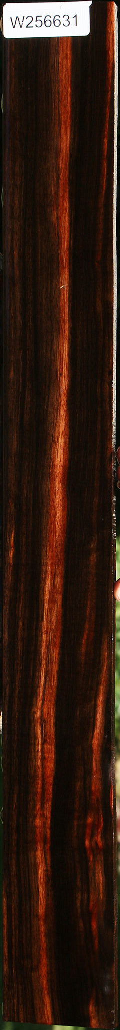 Figured Amara Ebony Lumber