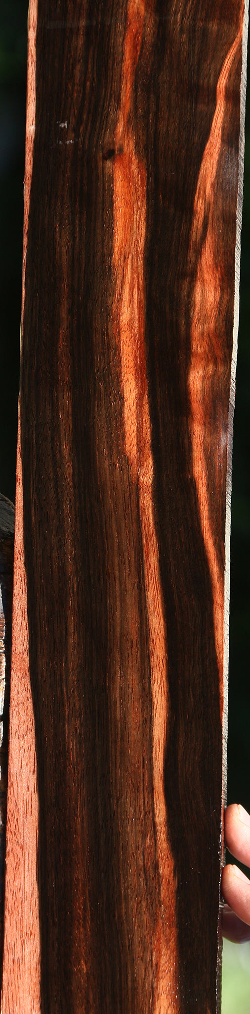Figured Amara Ebony Lumber