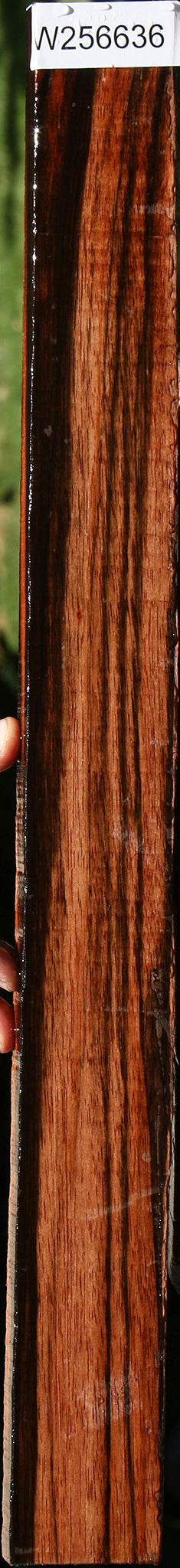 Amara Ebony Lumber