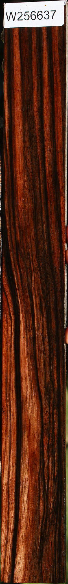 Figured Amara Ebony Micro Lumber