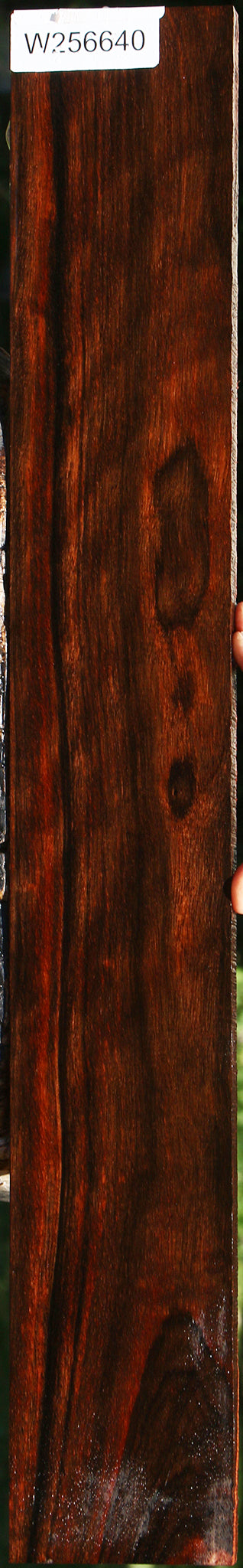 Extra Fancy Amara Ebony Lumber