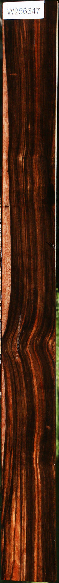 Figured Amara Ebony Lumber