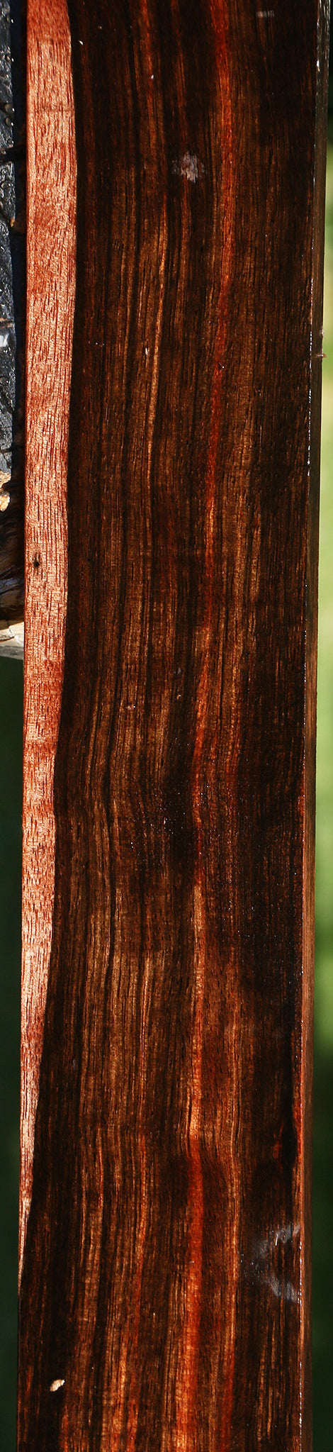 Figured Amara Ebony Lumber