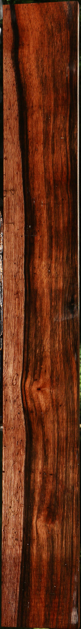 Figured Amara Ebony Lumber