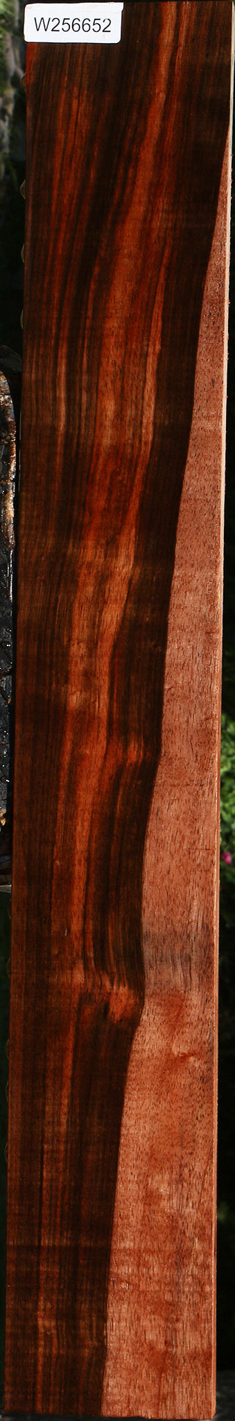 Extra Fancy Amara Ebony Lumber