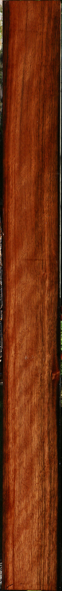 Figured Amara Ebony Lumber