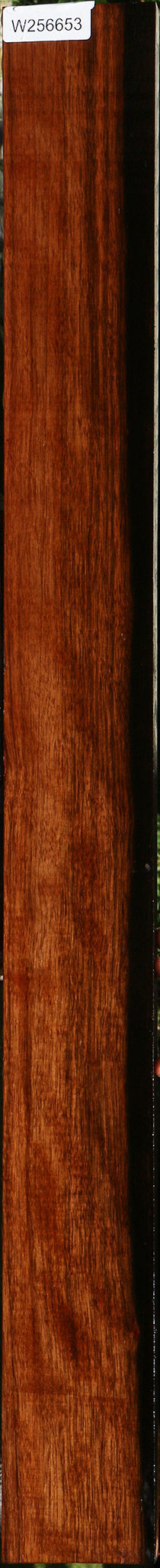 Figured Amara Ebony Lumber
