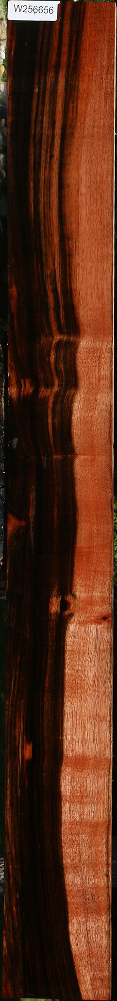 Figured Amara Ebony Lumber
