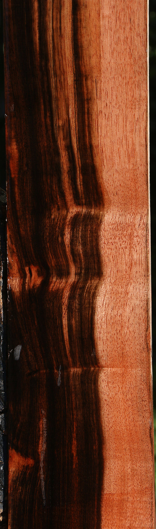 Figured Amara Ebony Lumber