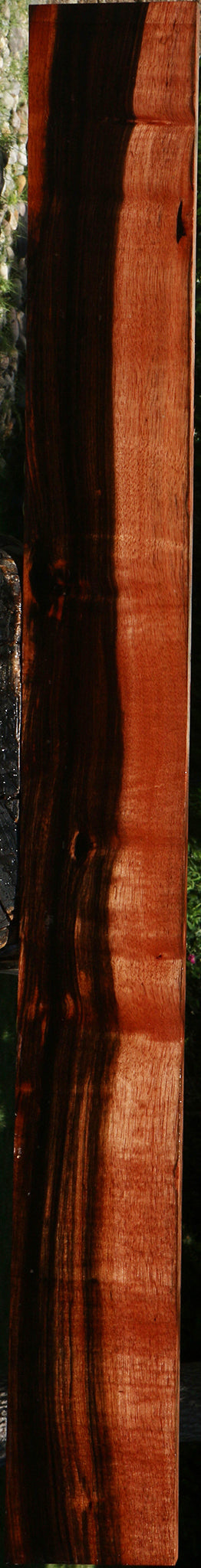 Figured Amara Ebony Lumber