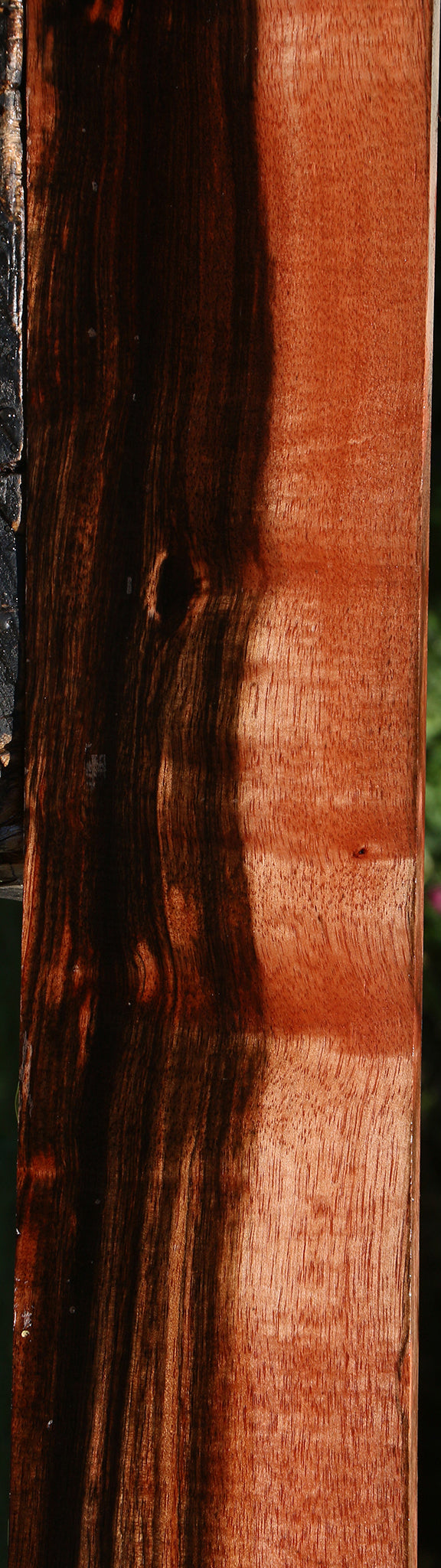 Figured Amara Ebony Lumber