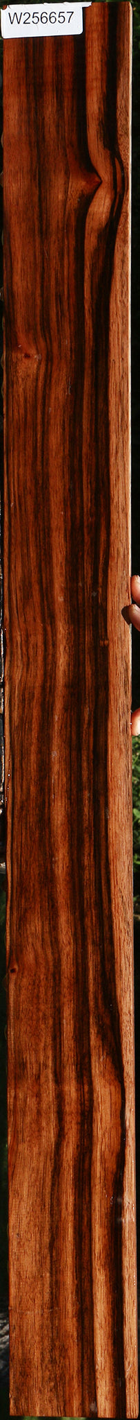 Figured Amara Ebony Lumber