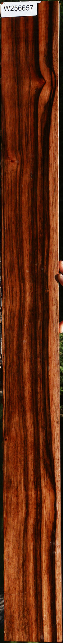 Figured Amara Ebony Lumber