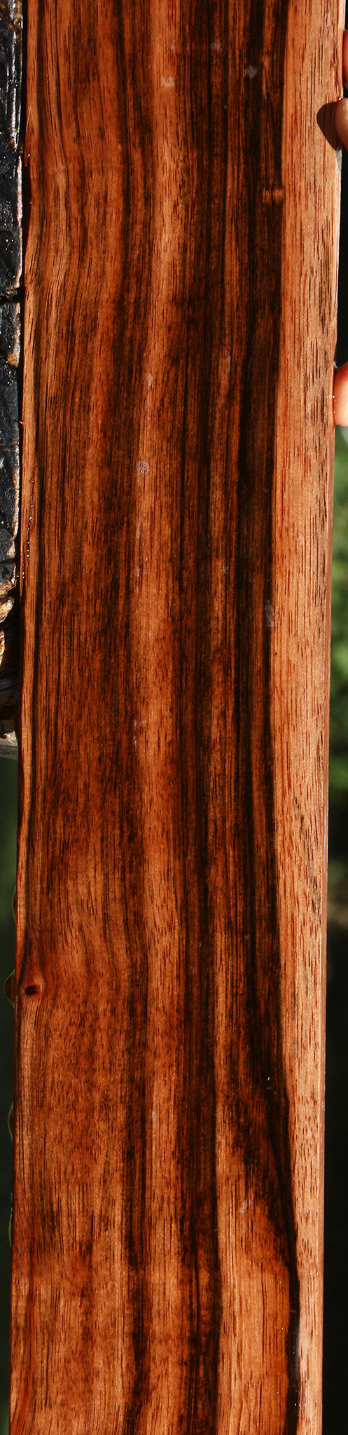 Figured Amara Ebony Lumber