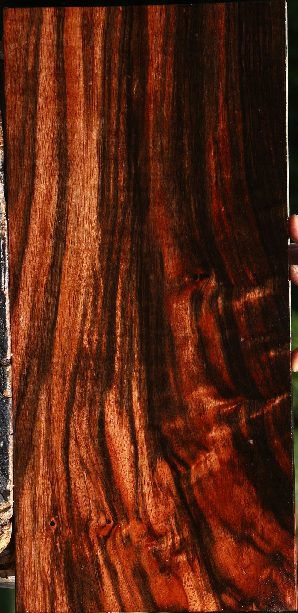 Extra Fancy Amara Ebony Lumber