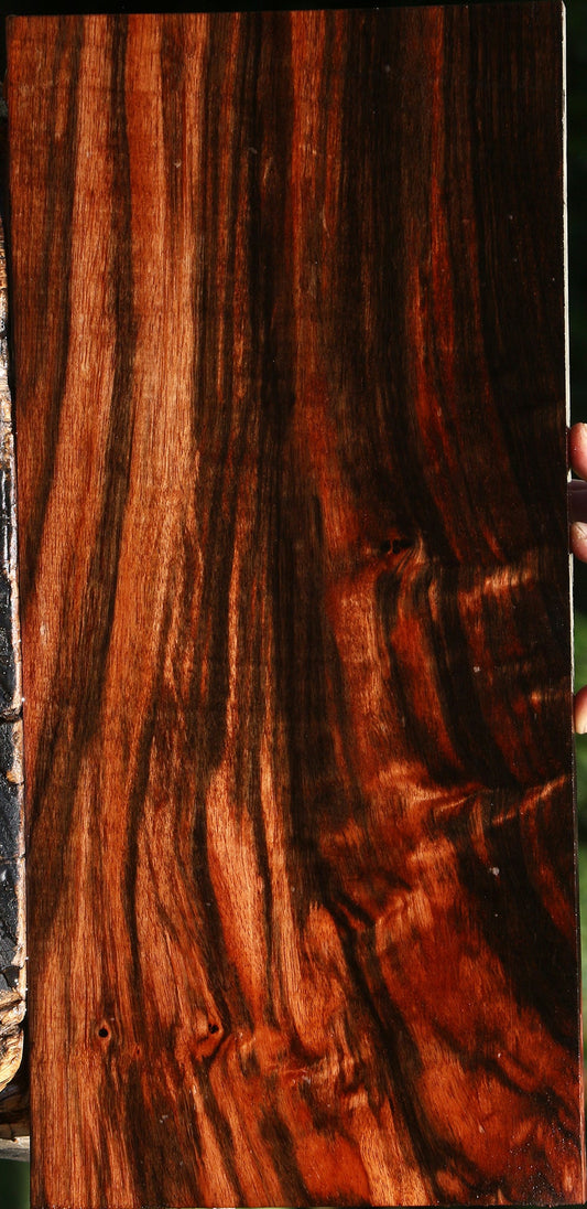 Extra Fancy Amara Ebony Lumber