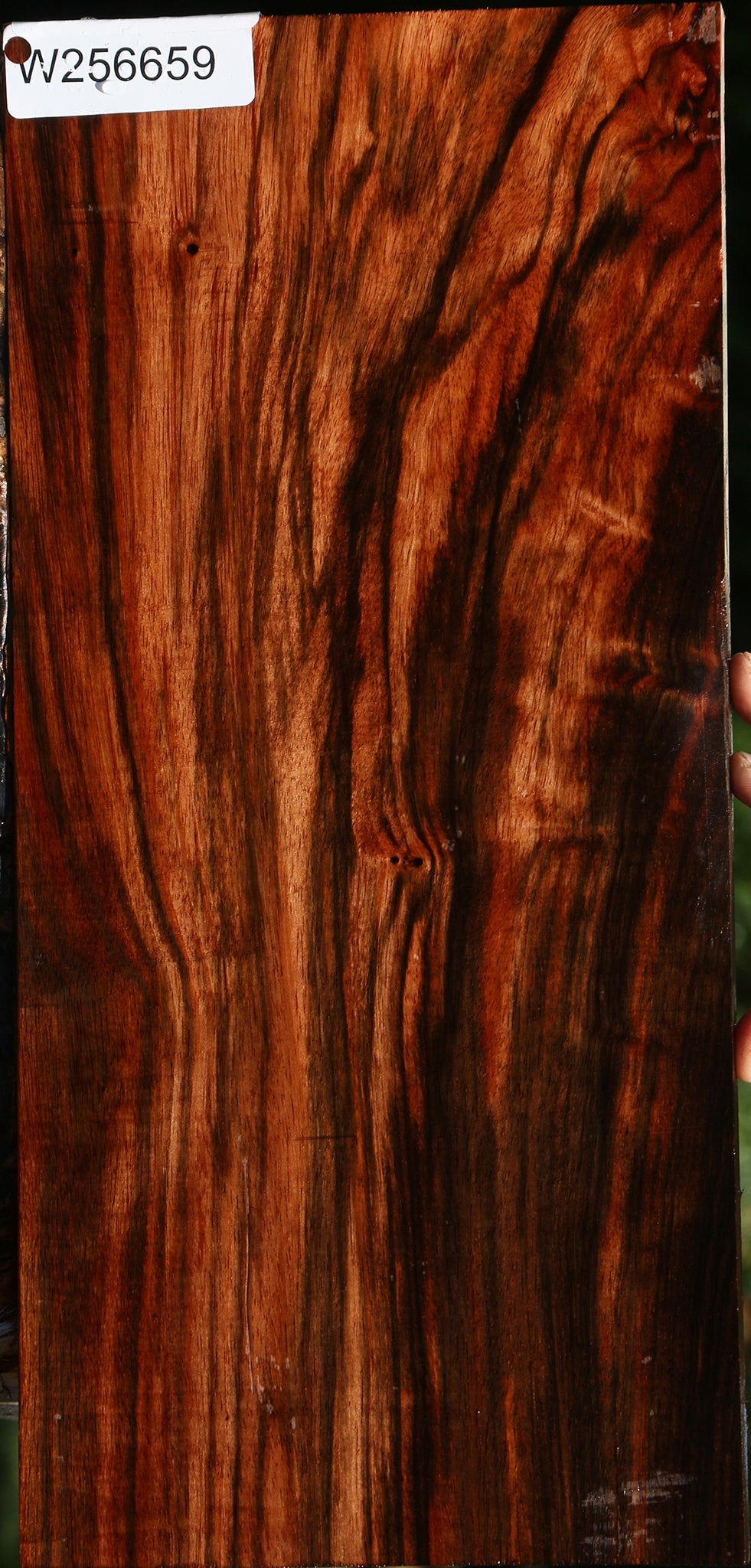 Extra Fancy Amara Ebony Lumber
