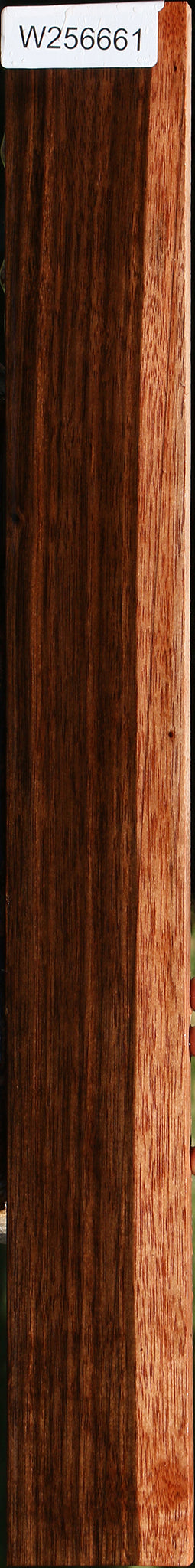Amara Ebony Micro Lumber